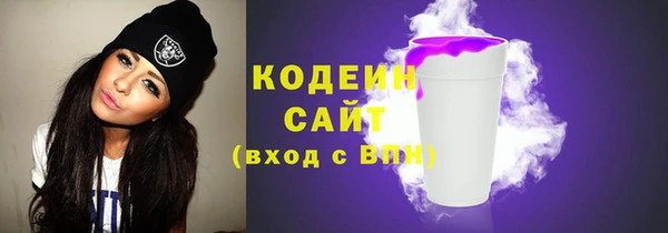 мдпв Богородск
