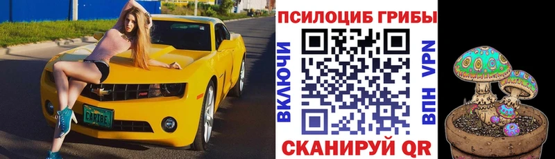Псилоцибиновые грибы GOLDEN TEACHER Астрахань